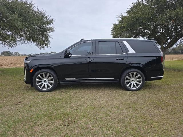 2021 Cadillac Escalade Vehicle Photo in BROUSSARD, LA 70518-0000