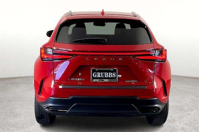 2024 Lexus NX 250 Vehicle Photo in Tulsa, OK 74129