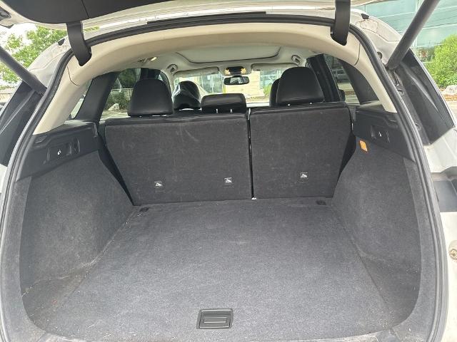 2019 INFINITI QX50 Vehicle Photo in San Antonio, TX 78230