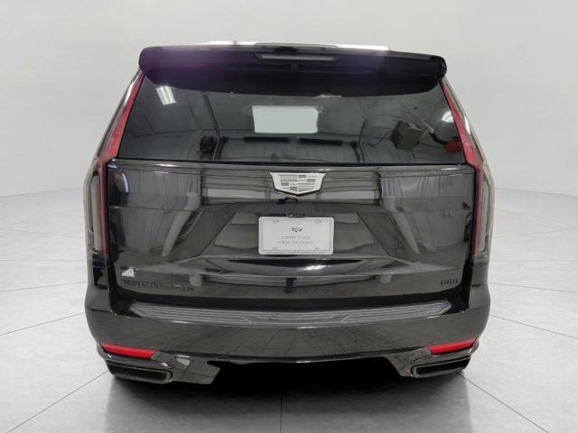 2023 Cadillac Escalade Vehicle Photo in APPLETON, WI 54914-4656