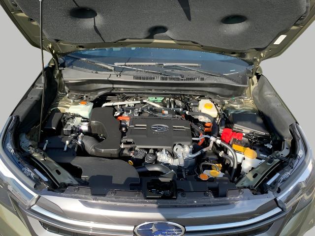 2025 Subaru Forester Vehicle Photo in Oshkosh, WI 54904