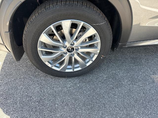 2024 INFINITI QX50 Vehicle Photo in San Antonio, TX 78230