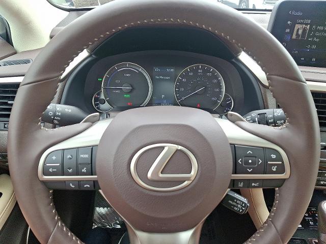 2020 Lexus RX Vehicle Photo in HARRISBURG, PA 17111-1033