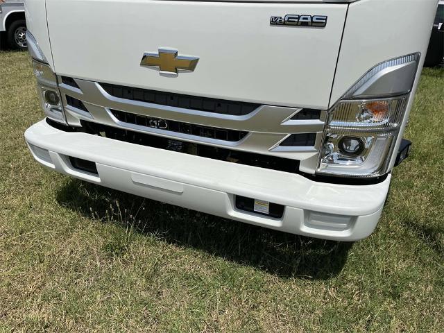 2025 Chevrolet Low Cab Forward 3500 Vehicle Photo in ALCOA, TN 37701-3235