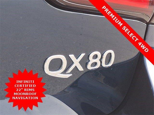 2024 INFINITI QX80 Vehicle Photo in Willow Grove, PA 19090