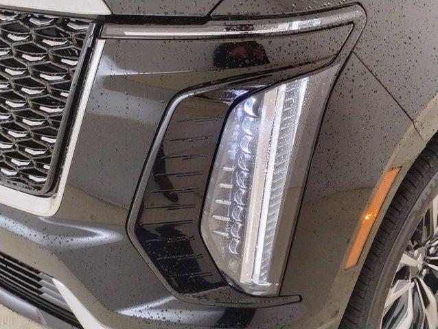 2025 Cadillac Escalade Vehicle Photo in PINEVILLE, NC 28134-8495