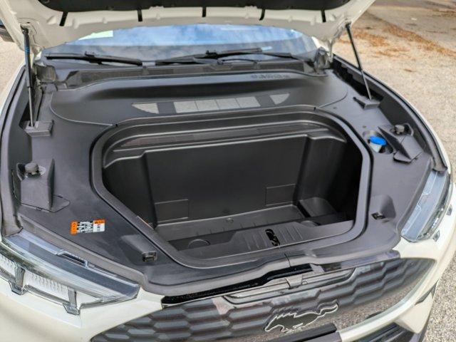 2021 Ford Mustang Mach-E Vehicle Photo in San Antonio, TX 78230