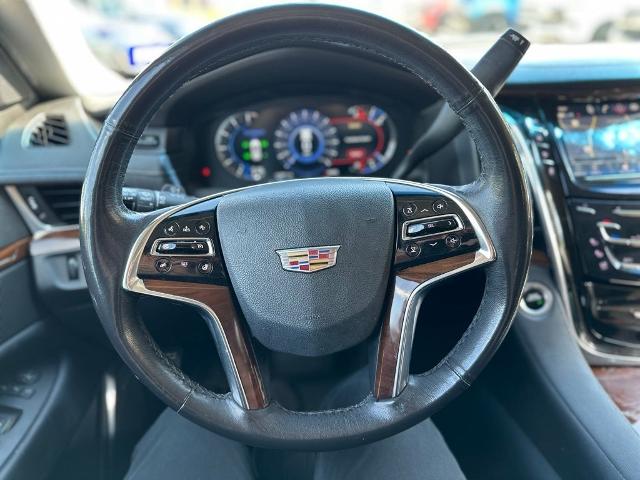 2019 Cadillac Escalade Vehicle Photo in San Antonio, TX 78230