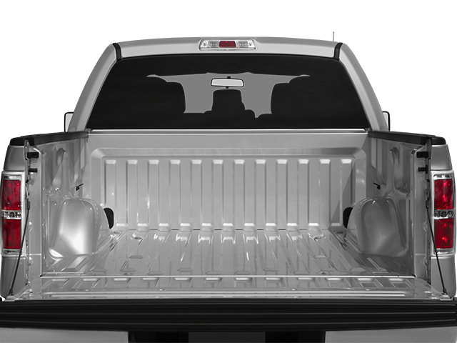 2013 Ford F-150 Vehicle Photo in San Antonio, TX 78230