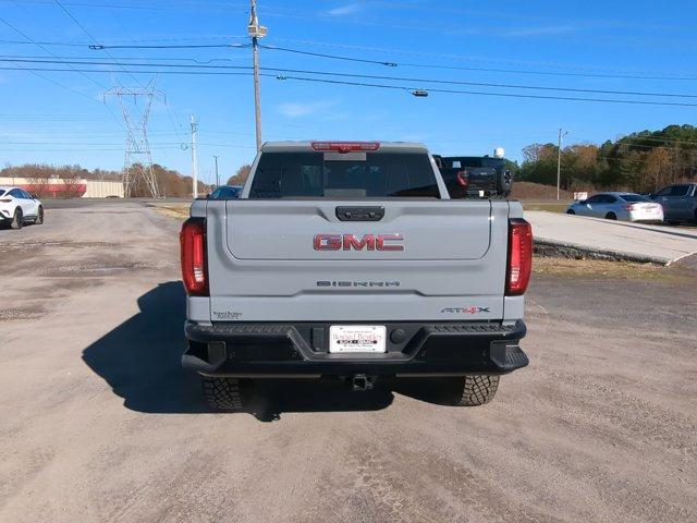 2025 GMC Sierra 1500 Vehicle Photo in ALBERTVILLE, AL 35950-0246