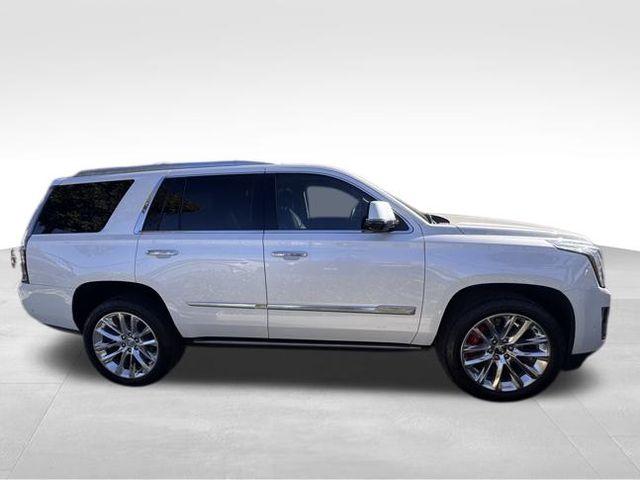 2019 Cadillac Escalade Vehicle Photo in DELRAY BEACH, FL 33483-3294