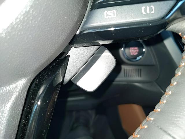 2025 Subaru Forester Vehicle Photo in Green Bay, WI 54304