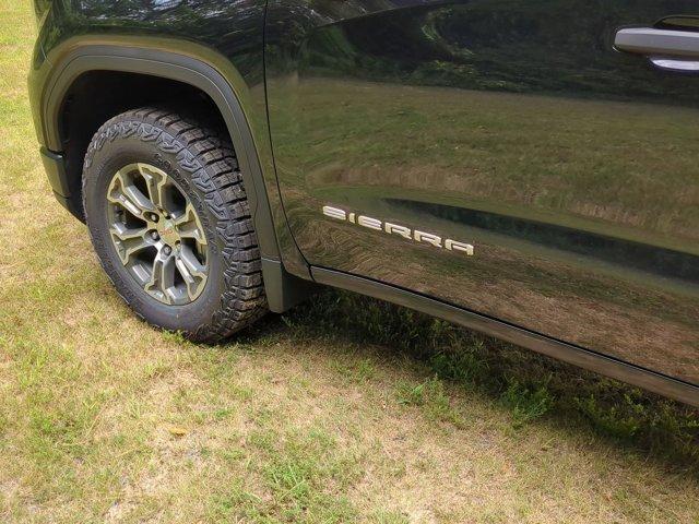 2024 GMC Sierra 1500 Vehicle Photo in ALBERTVILLE, AL 35950-0246