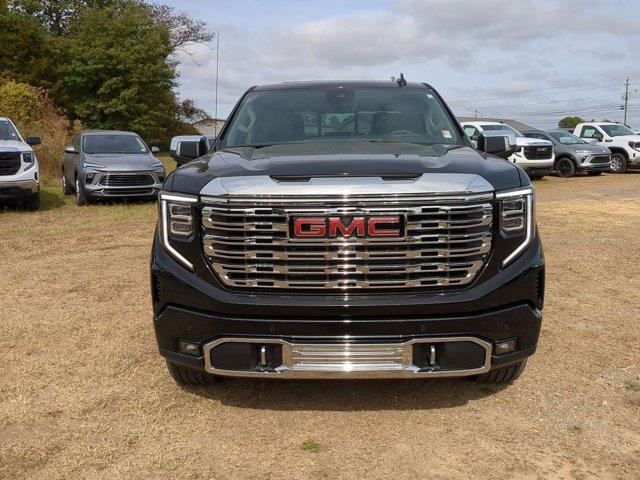 2025 GMC Sierra 1500 Vehicle Photo in ALBERTVILLE, AL 35950-0246