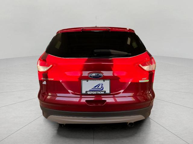 2013 Ford Escape Vehicle Photo in Green Bay, WI 54304