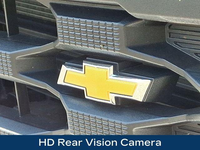 2024 Chevrolet Silverado 1500 Vehicle Photo in PAWLING, NY 12564-3219