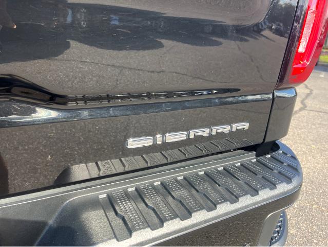 2019 GMC Sierra 1500 Vehicle Photo in BEAUFORT, SC 29906-4218