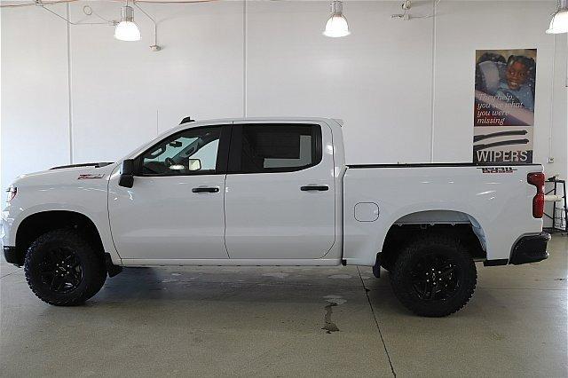 2025 Chevrolet Silverado 1500 Vehicle Photo in MEDINA, OH 44256-9001