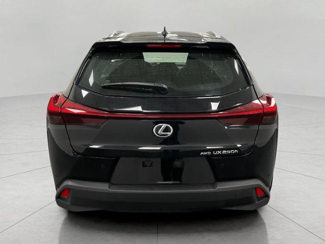 2024 Lexus UX 250h Vehicle Photo in Appleton, WI 54913