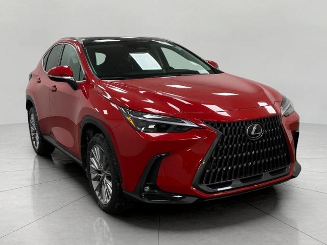 2025 Lexus NX 350h Vehicle Photo in Appleton, WI 54913