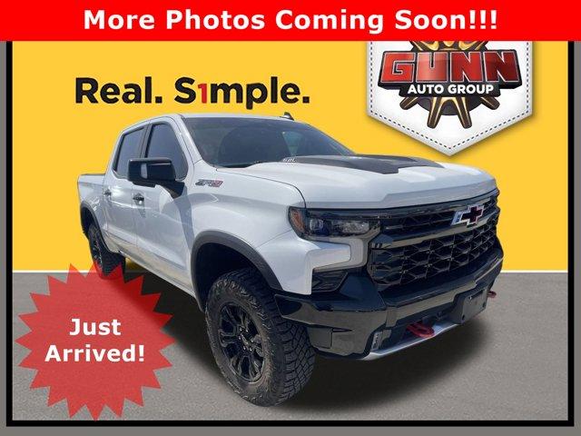 2023 Chevrolet Silverado 1500 Vehicle Photo in SELMA, TX 78154-1460