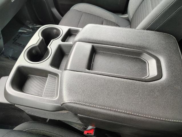 2019 Chevrolet Silverado 1500 Vehicle Photo in GREEN BAY, WI 54304-5303