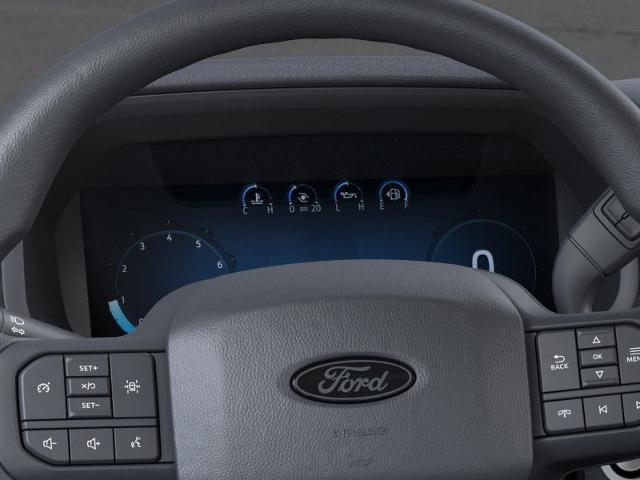 2025 Ford F-150 Vehicle Photo in Weatherford, TX 76087