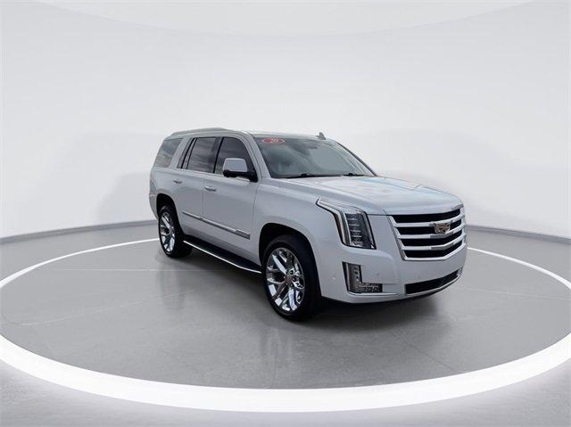 2020 Cadillac Escalade Vehicle Photo in BOWLING GREEN, KY 42104-4102