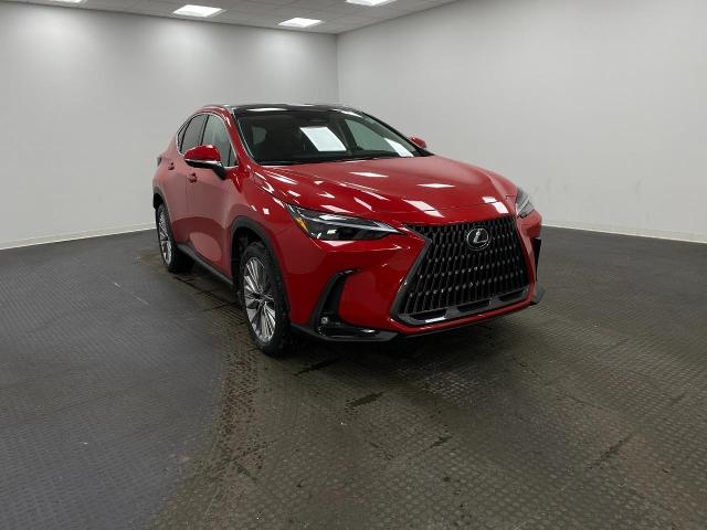 2025 Lexus NX 350h Vehicle Photo in Appleton, WI 54913