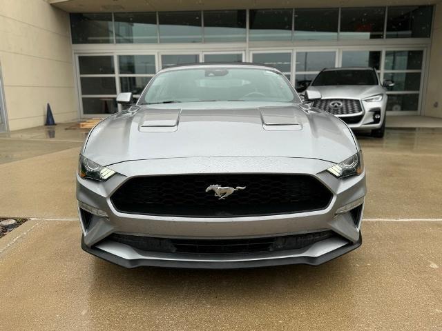 2023 Ford Mustang Vehicle Photo in San Antonio, TX 78230