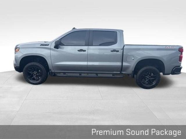 2024 Chevrolet Silverado 1500 Vehicle Photo in Fishers, IN 46038
