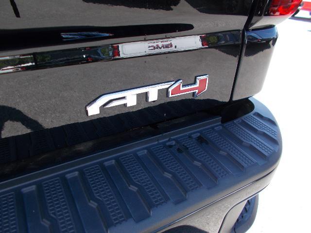 2021 GMC Sierra 1500 Vehicle Photo in LOWELL, MA 01852-4336