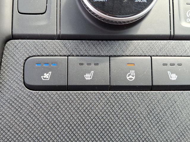 2024 Hyundai PALISADE Vehicle Photo in Philadelphia, PA 19116