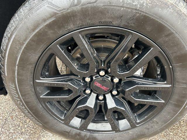 2024 GMC Sierra 1500 Vehicle Photo in MEDINA, OH 44256-9631