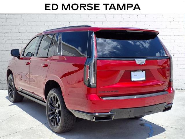 2024 Cadillac Escalade Vehicle Photo in Tampa, FL 33612