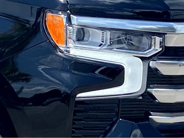 2025 Chevrolet Silverado 1500 Vehicle Photo in SAVANNAH, GA 31406-4513