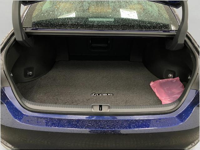 2025 Lexus ES 300h Vehicle Photo in Appleton, WI 54913