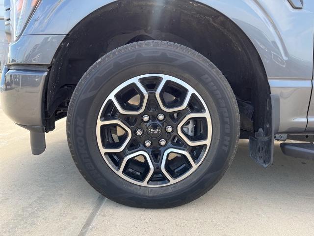2023 Ford F-150 Vehicle Photo in San Antonio, TX 78230