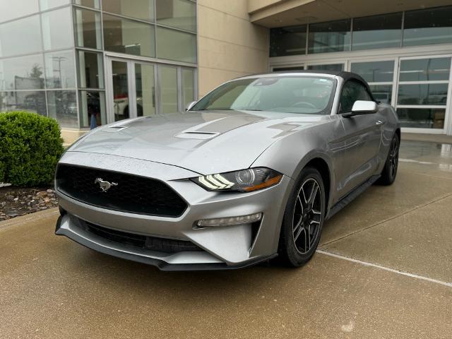 2023 Ford Mustang Vehicle Photo in Grapevine, TX 76051