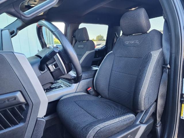 2019 Ford F-150 Vehicle Photo in PARIS, TX 75460-2116