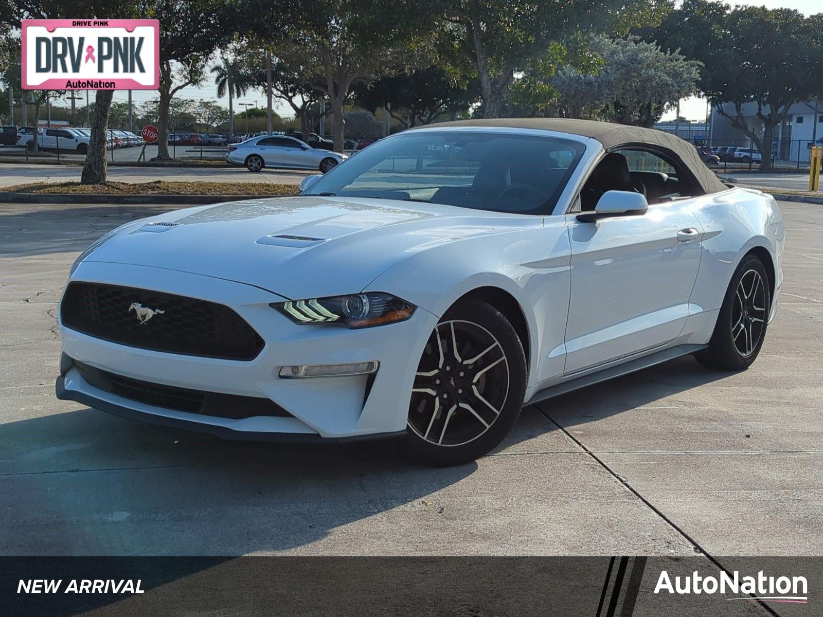 2019 Ford Mustang Vehicle Photo in Margate, FL 33063