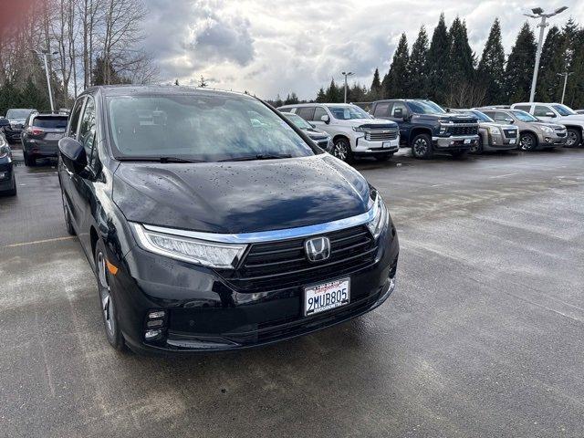 2024 Honda Odyssey Vehicle Photo in PUYALLUP, WA 98371-4149