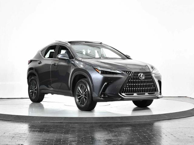 2024 Lexus NX 350h Vehicle Photo in DALLAS, TX 75235