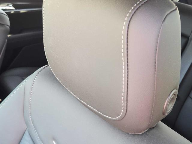 2024 Cadillac XT6 Vehicle Photo in DENTON, TX 76210-9321