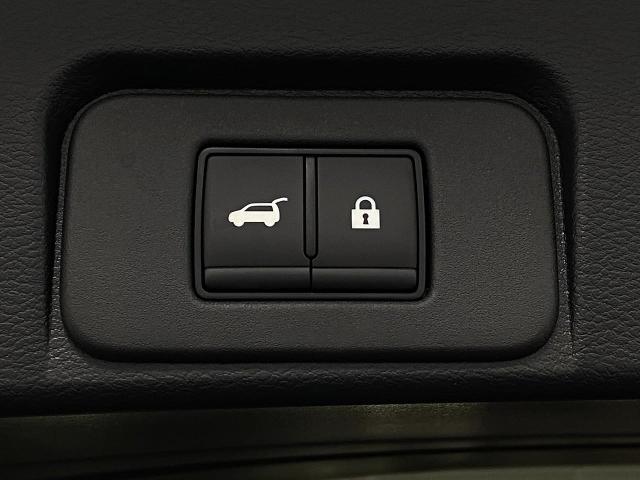 2025 Nissan Rogue Vehicle Photo in Appleton, WI 54913