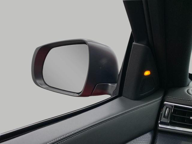 2025 INFINITI QX50 Vehicle Photo in Appleton, WI 54913