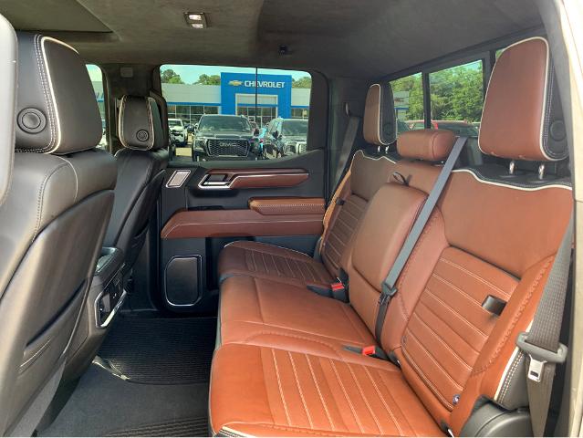 2024 GMC Sierra 1500 Vehicle Photo in BEAUFORT, SC 29906-4218