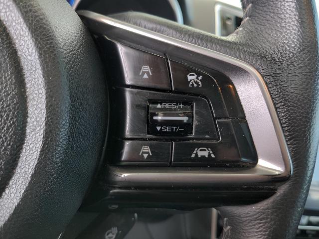 2019 Subaru Outback Vehicle Photo in Green Bay, WI 54304