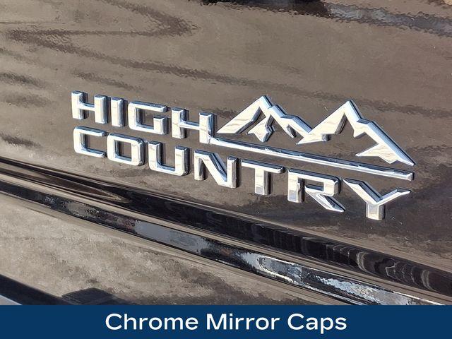 2024 Chevrolet Silverado 3500 HD Vehicle Photo in PAWLING, NY 12564-3219