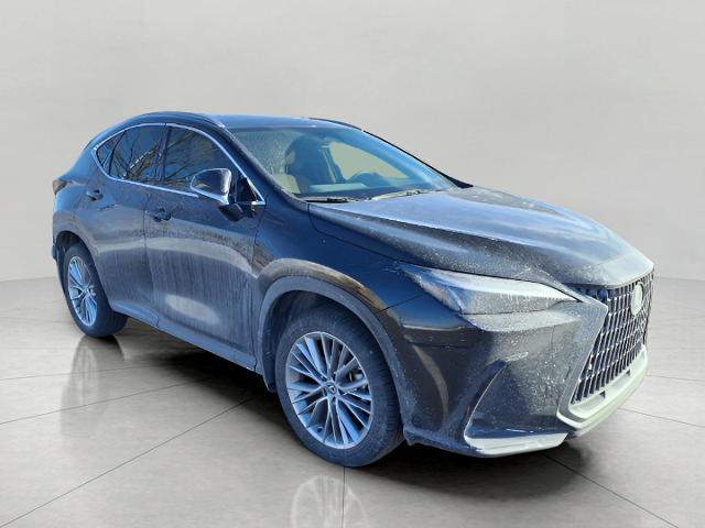 2025 Lexus NX 350 Vehicle Photo in Oshkosh, WI 54904